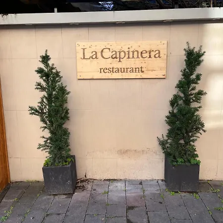 Hotel Alba Boutique 4*